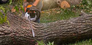 Best Artificial Turf Installation  in Del Rey, CA